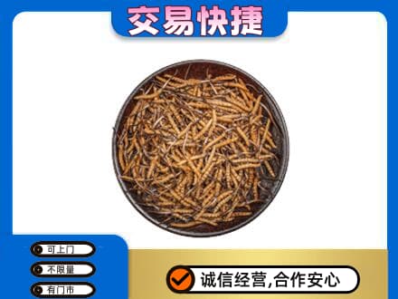 楚雄回收散虫草